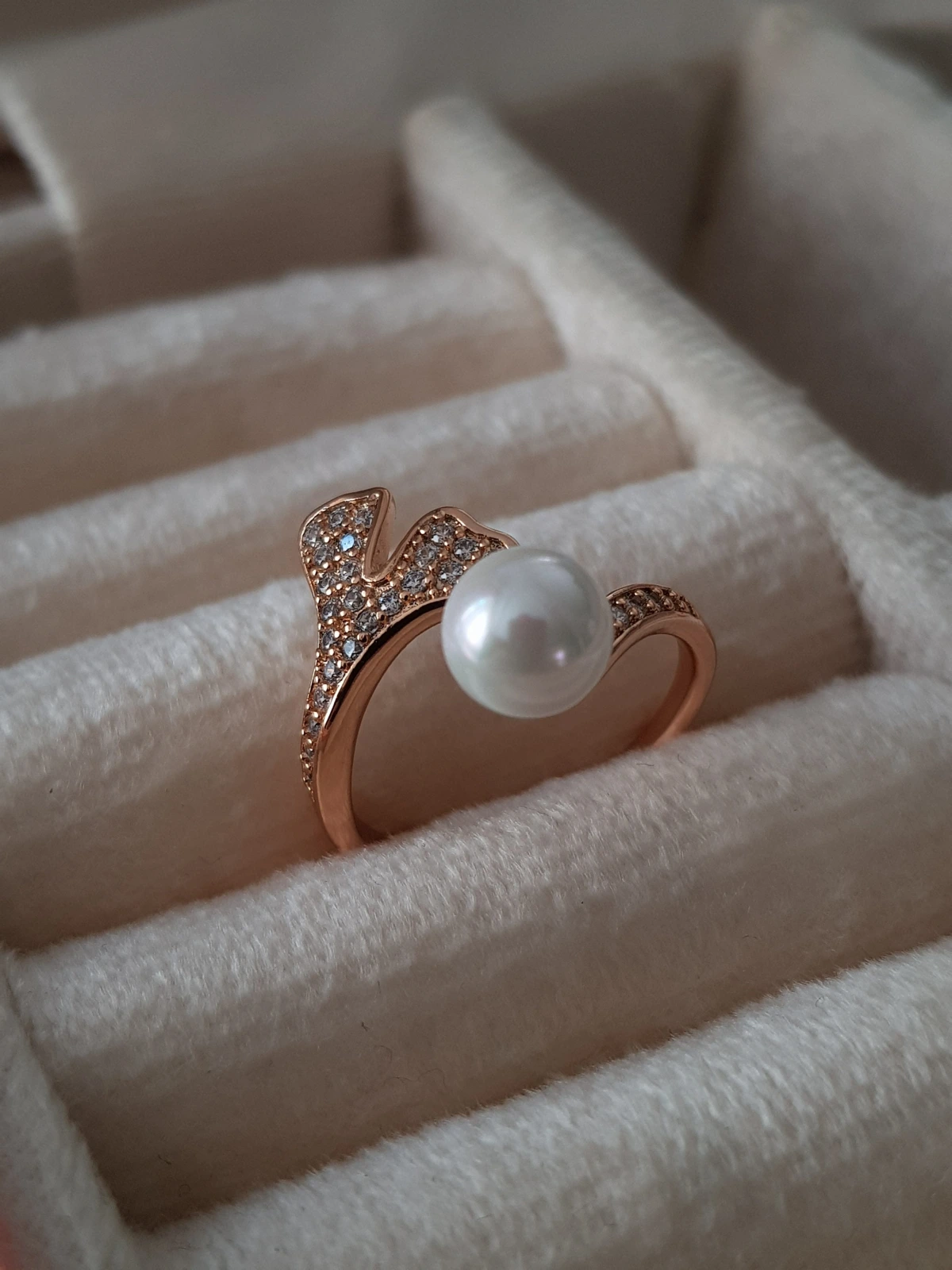 JOC  Tokyo Ring