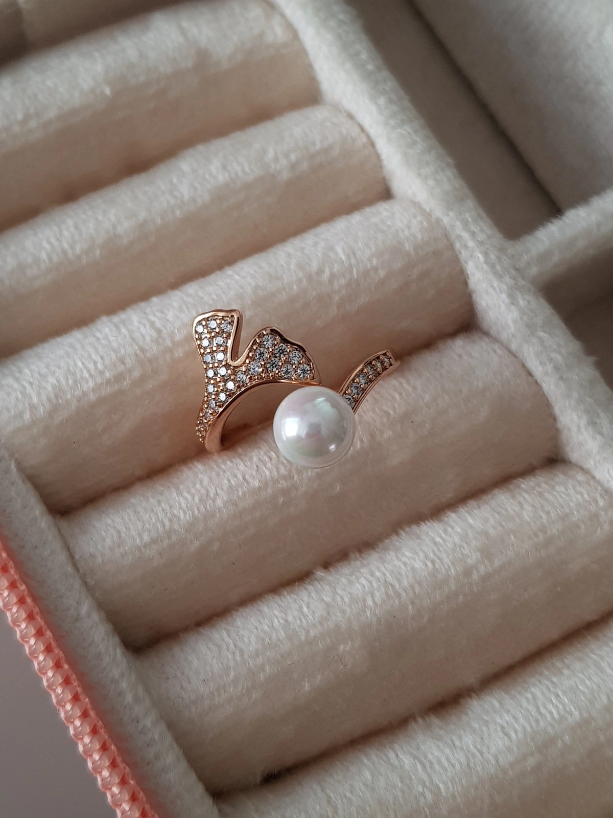 JOC  Tokyo Ring